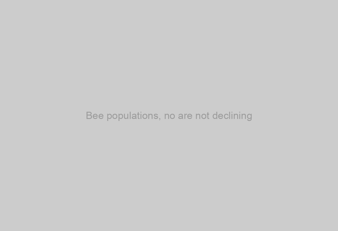 Bee populations, no are not declining